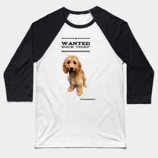 Cockapoo / Doodle Dog Sock Thief Baseball T-Shirt